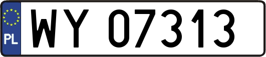 WY07313