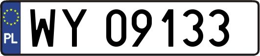 WY09133