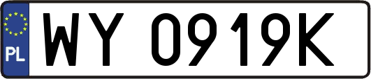 WY0919K