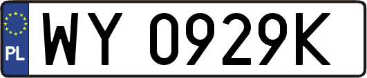 WY0929K