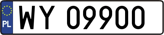 WY09900