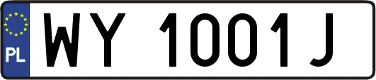 WY1001J