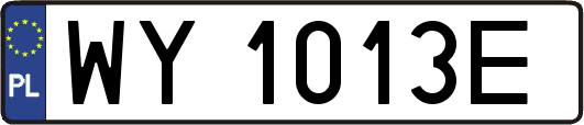 WY1013E
