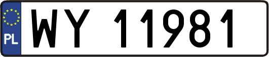 WY11981