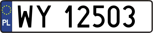WY12503