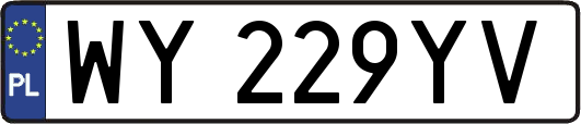 WY229YV
