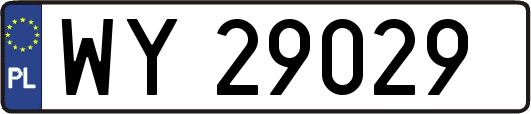 WY29029