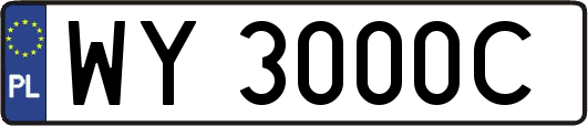 WY3000C