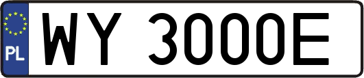 WY3000E