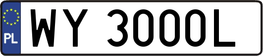 WY3000L
