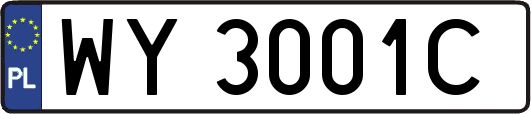 WY3001C