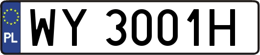 WY3001H