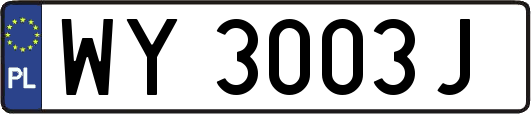 WY3003J