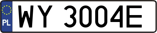 WY3004E