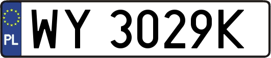 WY3029K