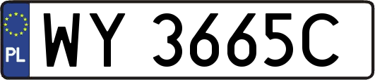 WY3665C