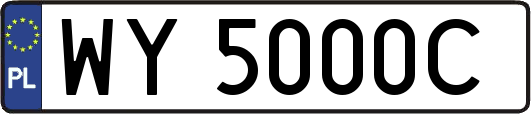 WY5000C