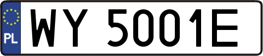 WY5001E