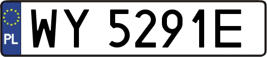 WY5291E