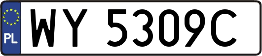 WY5309C