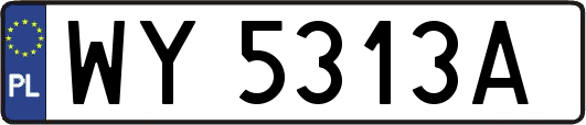 WY5313A