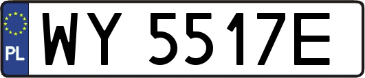 WY5517E