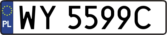 WY5599C