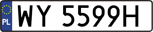 WY5599H