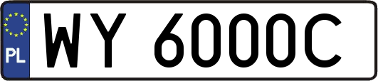 WY6000C