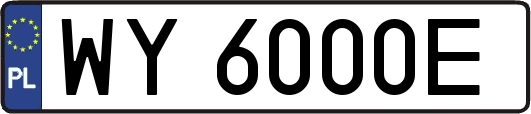 WY6000E