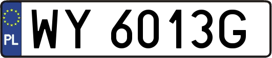 WY6013G