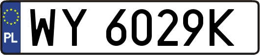 WY6029K