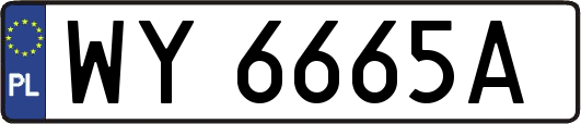 WY6665A