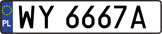 WY6667A
