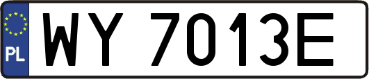 WY7013E