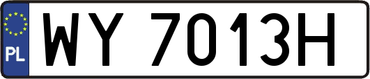 WY7013H