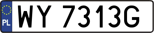 WY7313G