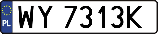 WY7313K