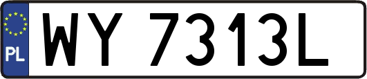 WY7313L