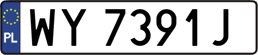 WY7391J