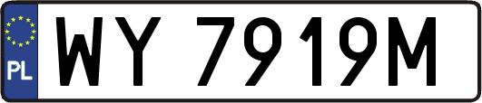 WY7919M