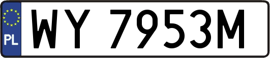 WY7953M