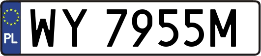 WY7955M
