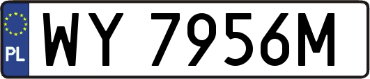 WY7956M