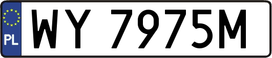 WY7975M