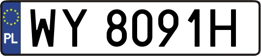 WY8091H