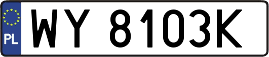 WY8103K