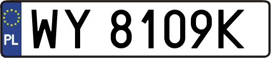 WY8109K