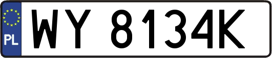 WY8134K