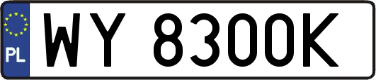 WY8300K